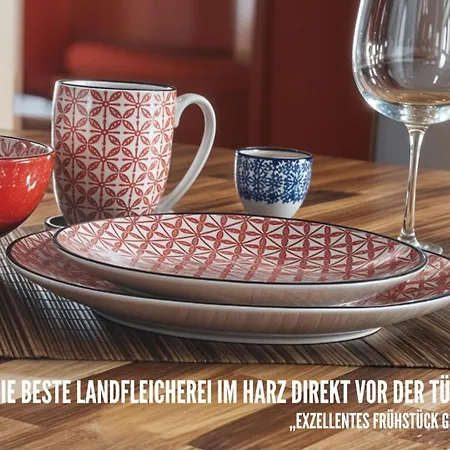 Harzer Healing Center 2024 Romantische Landhauswohnung Mit Fussbodenheizung,xxl Kochinsel,xxl Regenduschen,modern,hochwertig,persoenlich,vollausgestattet Апартаменты *